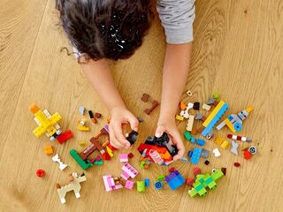 LEGO® Basic Brick Set