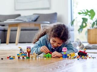 LEGO® Basic Brick Set