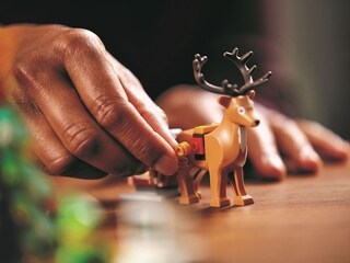 LEGO® Elf Club House