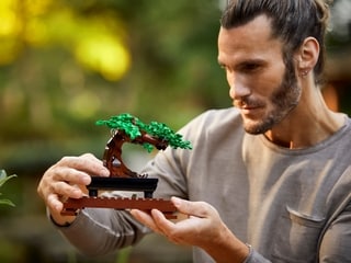 LEGO® Bonsai Tree