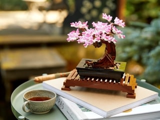 LEGO® Bonsai Tree