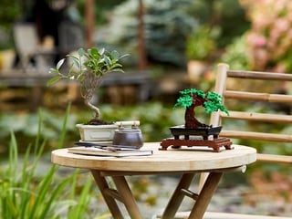LEGO® Bonsai Tree