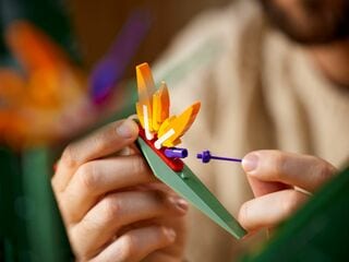 LEGO® Bird of Paradise