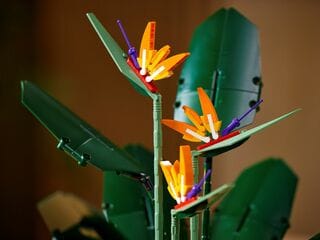 LEGO® Bird of Paradise