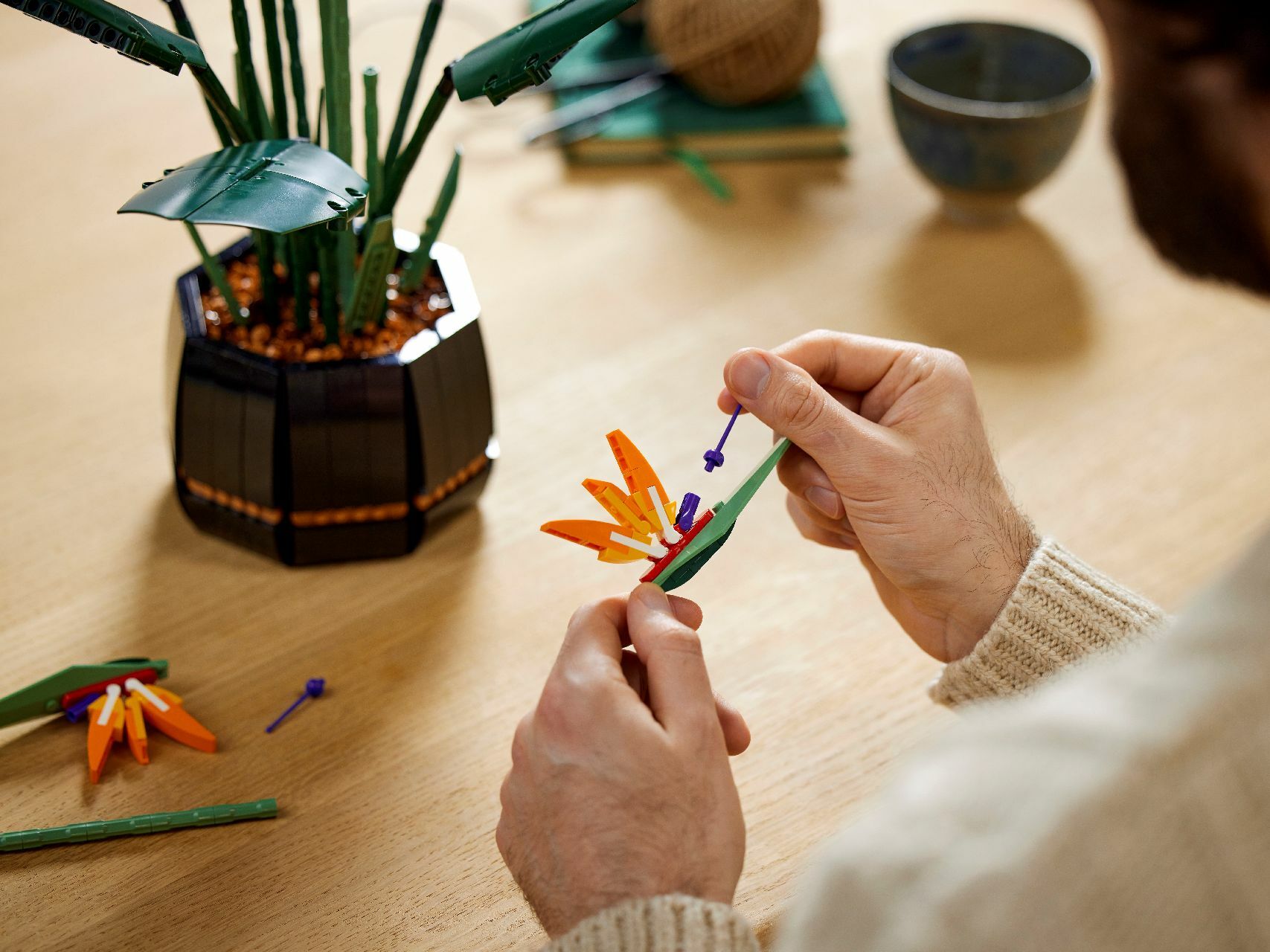 LEGO® Bird of Paradise