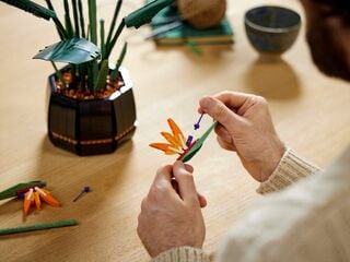 LEGO® Bird of Paradise