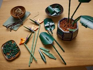 LEGO® Bird of Paradise