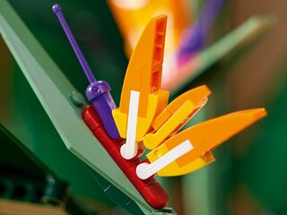 LEGO® Bird of Paradise