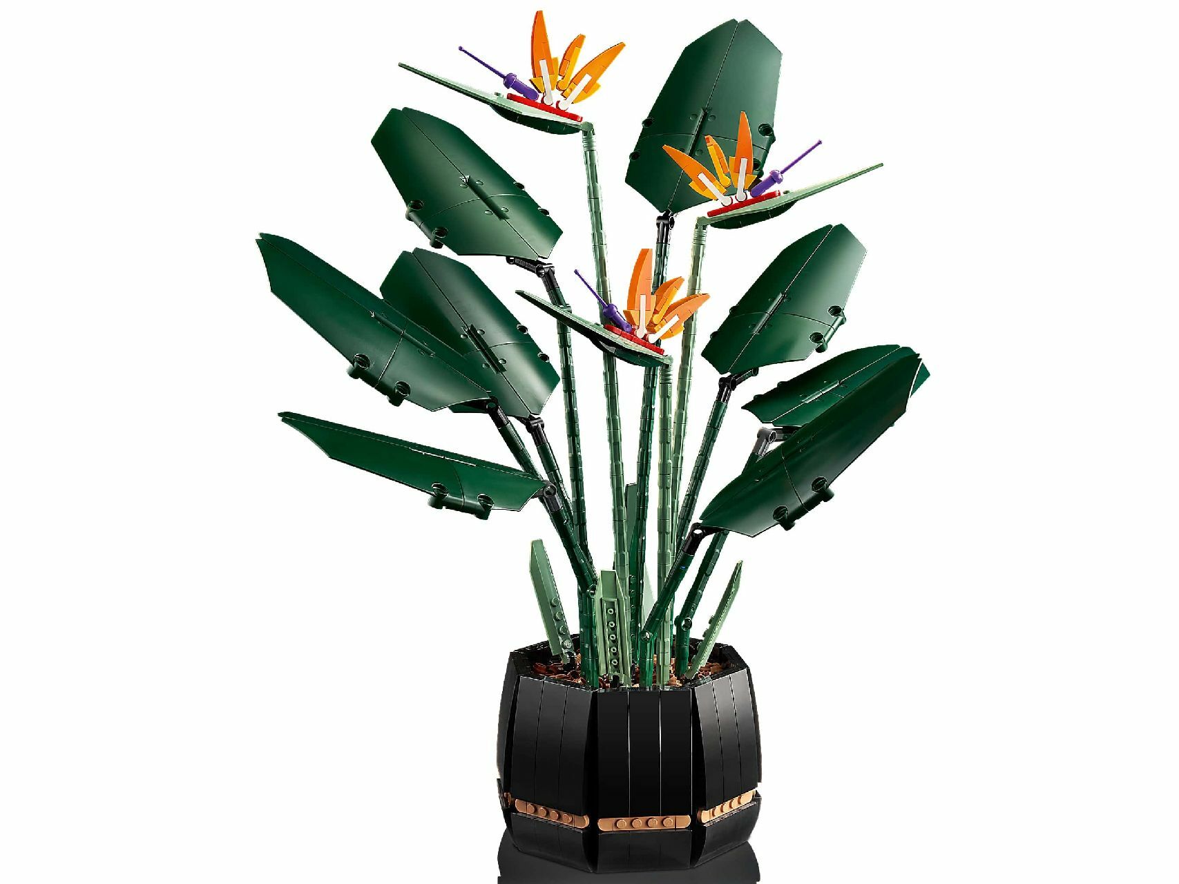 LEGO® Bird of Paradise