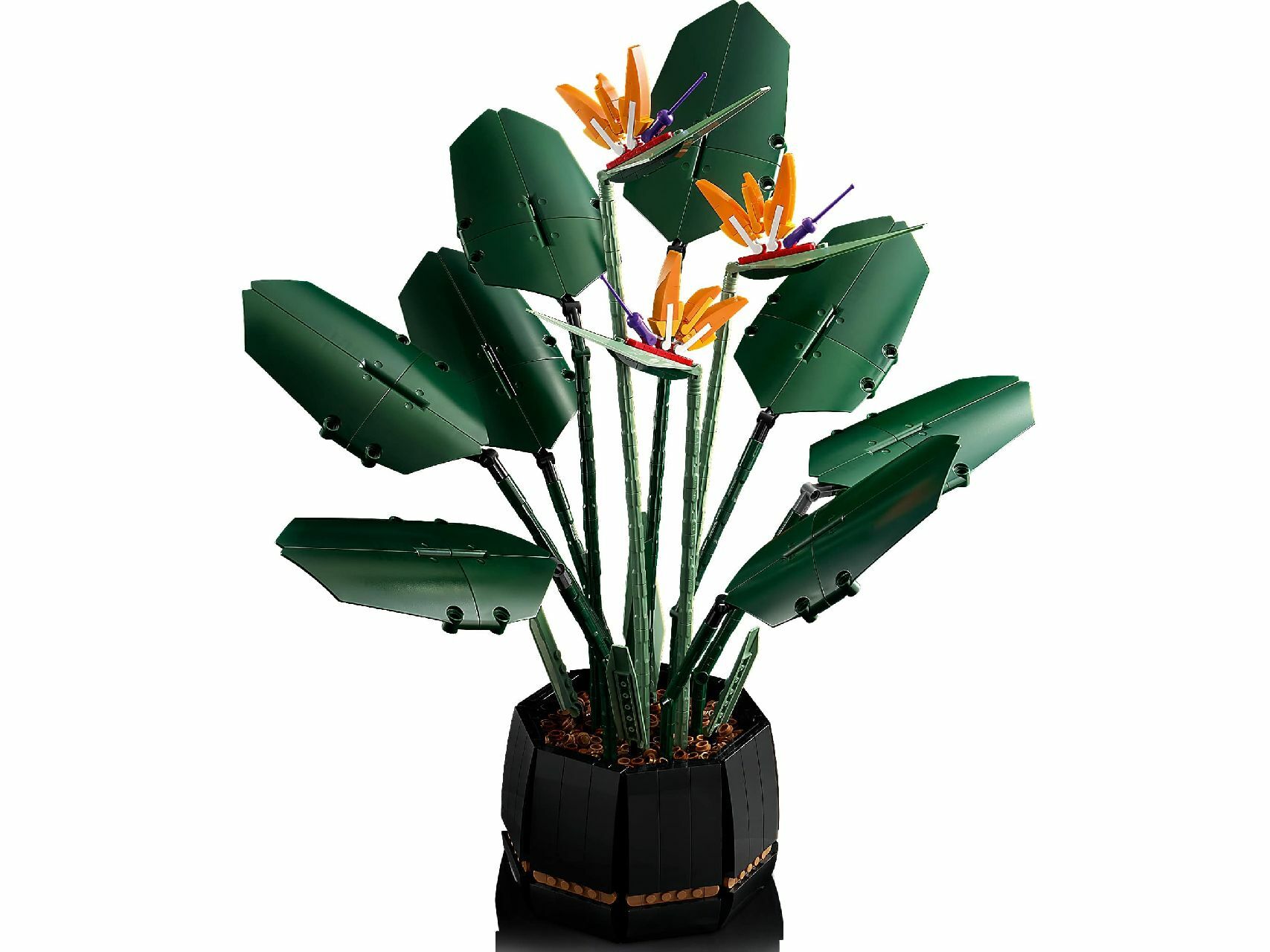 LEGO® Bird of Paradise