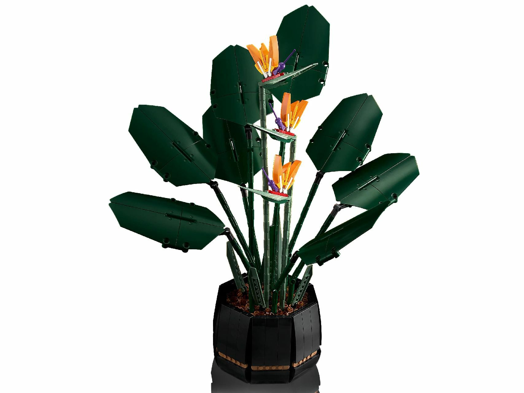 LEGO® Bird of Paradise