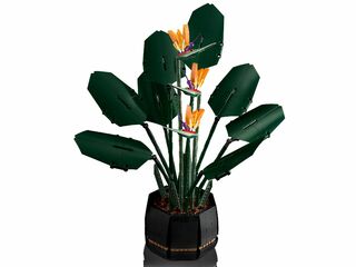 LEGO® Bird of Paradise
