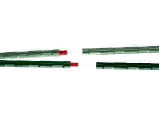 LEGO® Bird of Paradise