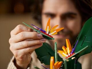 LEGO® Bird of Paradise