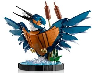 LEGO® Kingfisher Bird