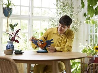 LEGO® Kingfisher Bird