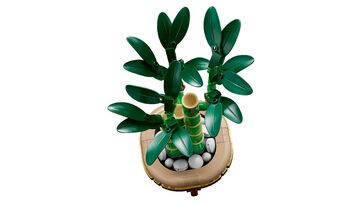 LEGO® Lucky Bamboo