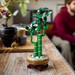 LEGO® Lucky Bamboo