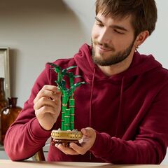 LEGO® Lucky Bamboo