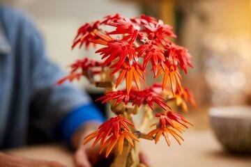 LEGO® Japanese Red Maple Bonsai Tree