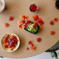 LEGO® Japanese Red Maple Bonsai Tree