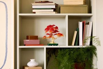 LEGO® Japanese Red Maple Bonsai Tree