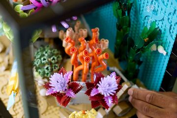 LEGO® Tropical Aquarium