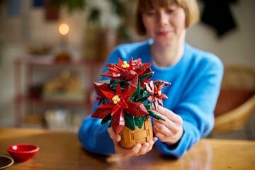 LEGO® Poinsettia