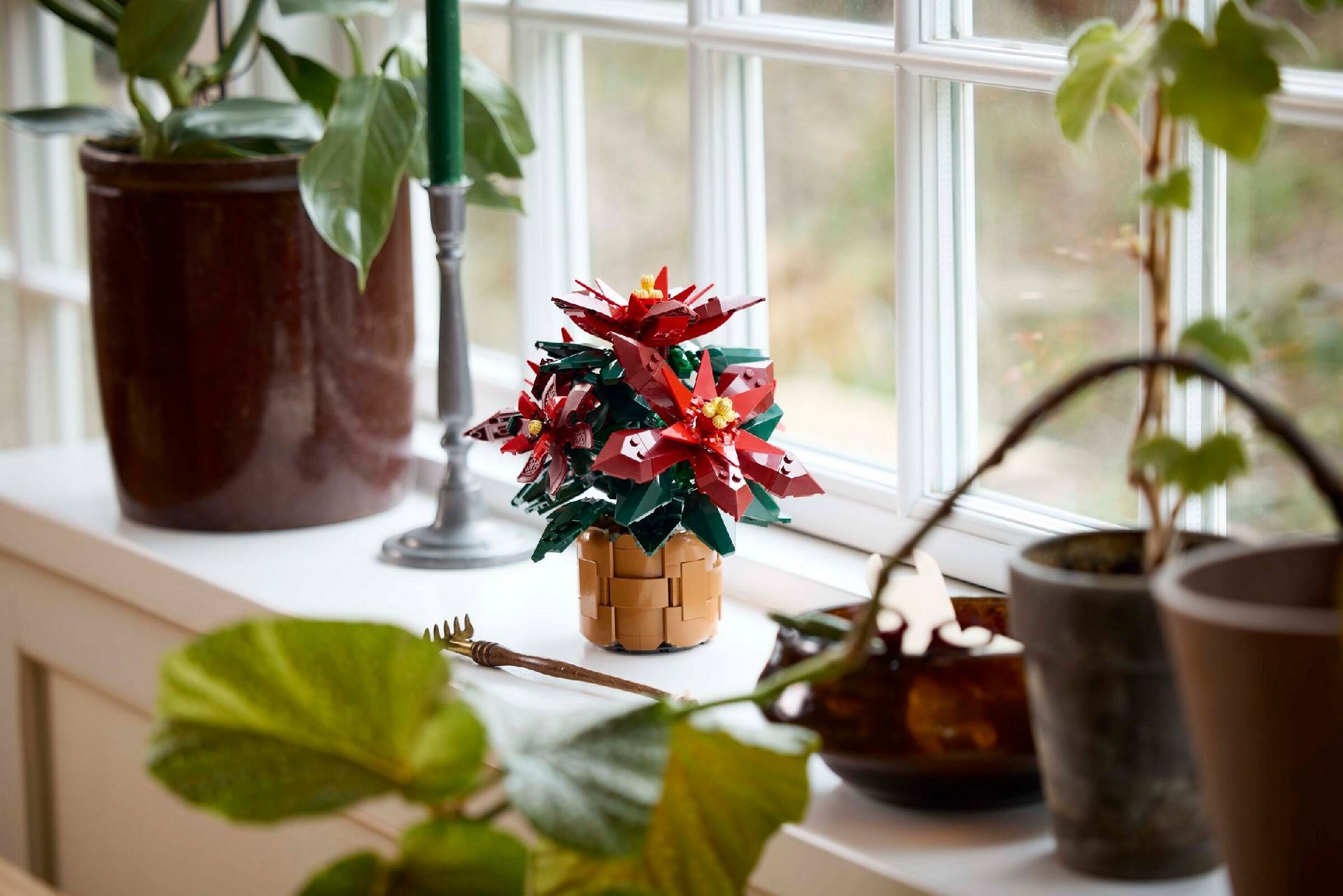 LEGO® Poinsettia