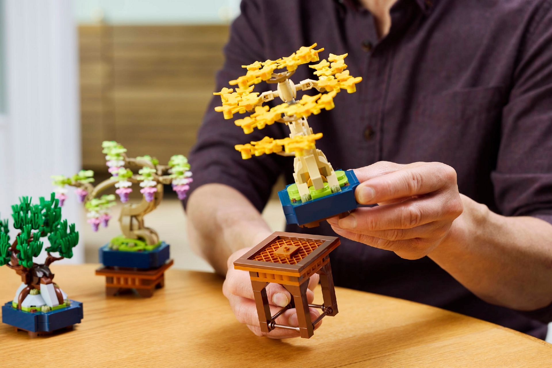 Buy LEGO® Mini Bonsai Trees 10373 | Official LEGO® AE