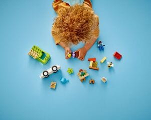 LEGO® Caring for Bees & Beehives