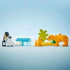 LEGO® Wild Animal Families: Penguins & Lions