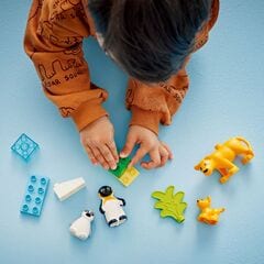 LEGO® Wild Animal Families: Penguins & Lions