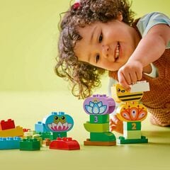 الزهور والحديقة الإبداعية من LEGO®