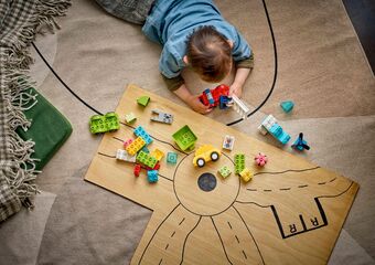 LEGO® Creative Vehicles