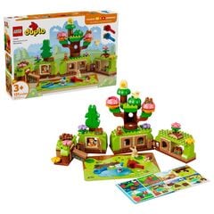 LEGO® Discovery Forest with Wild Animals