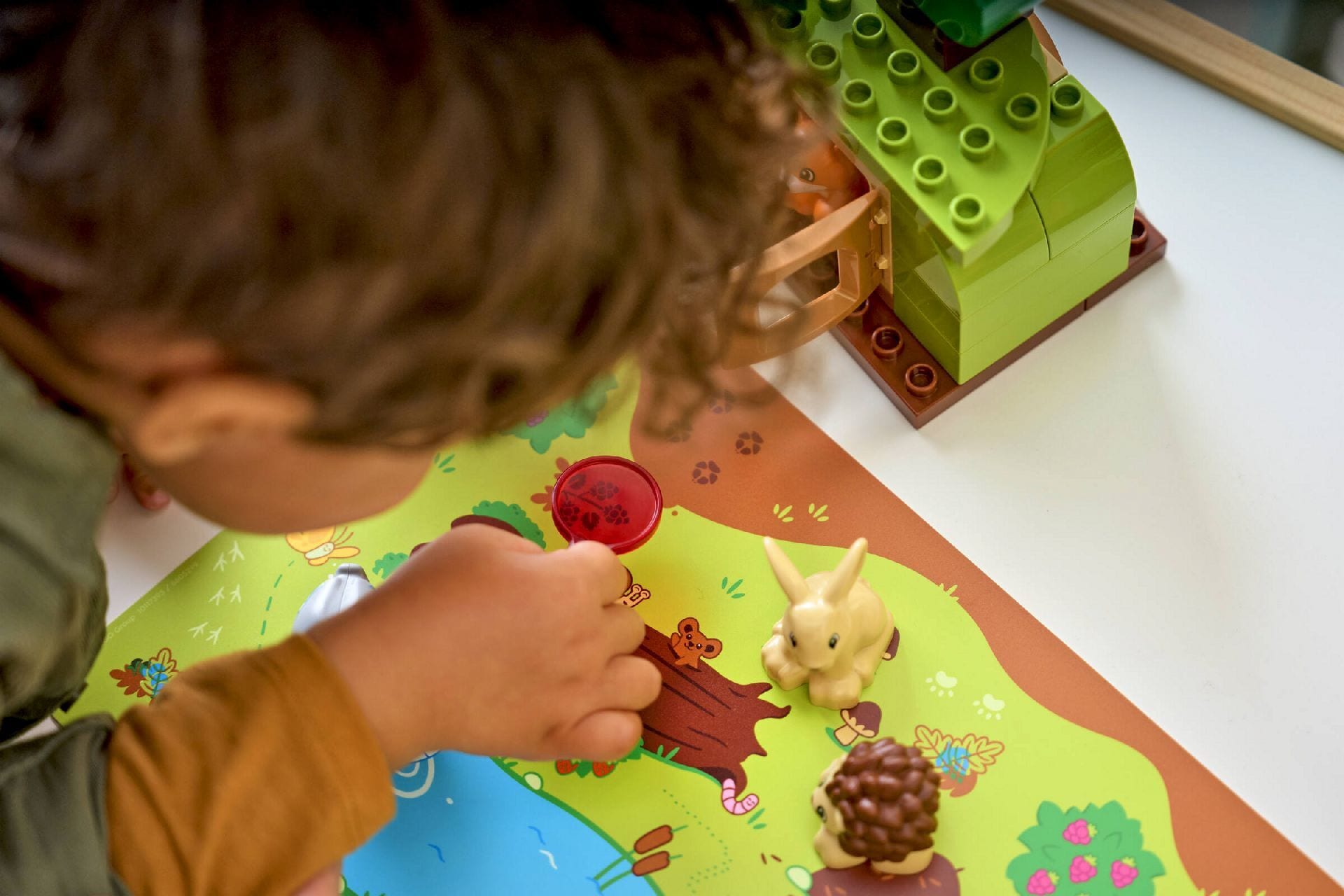 LEGO® Discovery Forest with Wild Animals