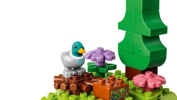 LEGO® Discovery Forest with Wild Animals