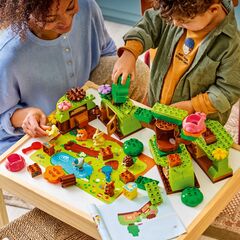 LEGO® Discovery Forest with Wild Animals