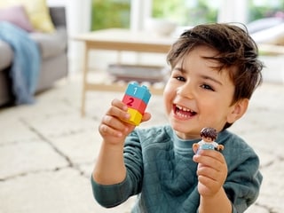 LEGO® DUPLO® Brick Box