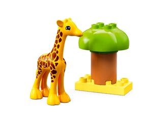 LEGO® Wild Animals of Africa