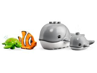 LEGO® Wild Animals of the Ocean