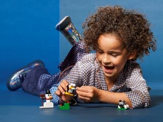 LEGO® Classic Creative White Bricks