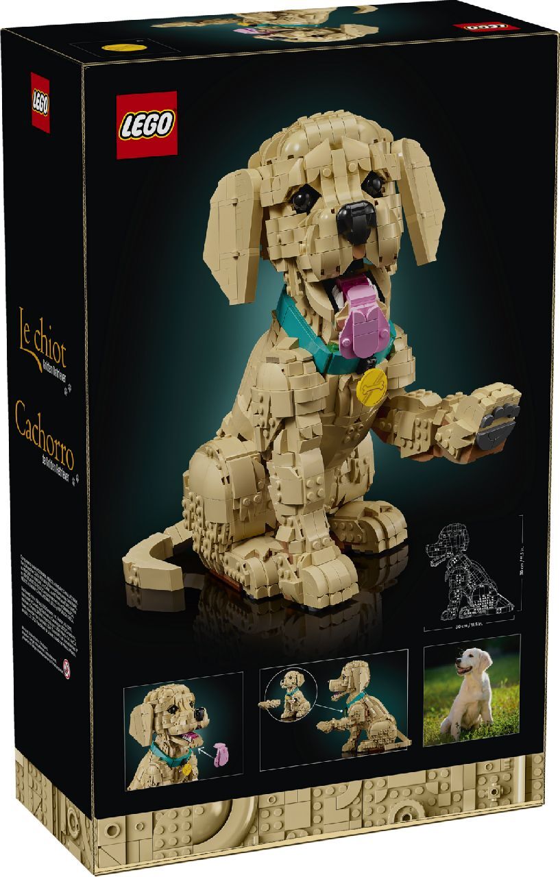 LEGO® Golden Retriever Puppy