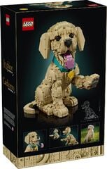 LEGO® Golden Retriever Puppy