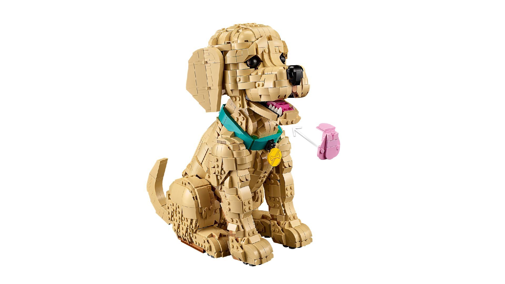 LEGO® Golden Retriever Puppy