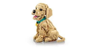 LEGO® Golden Retriever Puppy