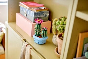 LEGO® Flowering Cactus