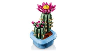LEGO® Flowering Cactus