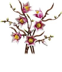 LEGO® Magnolia Branches